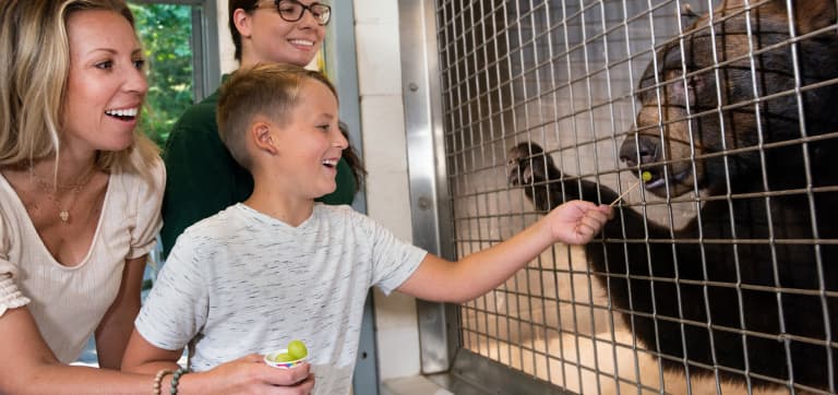 family-interacting-with-bear-at-zooamerica.jpg