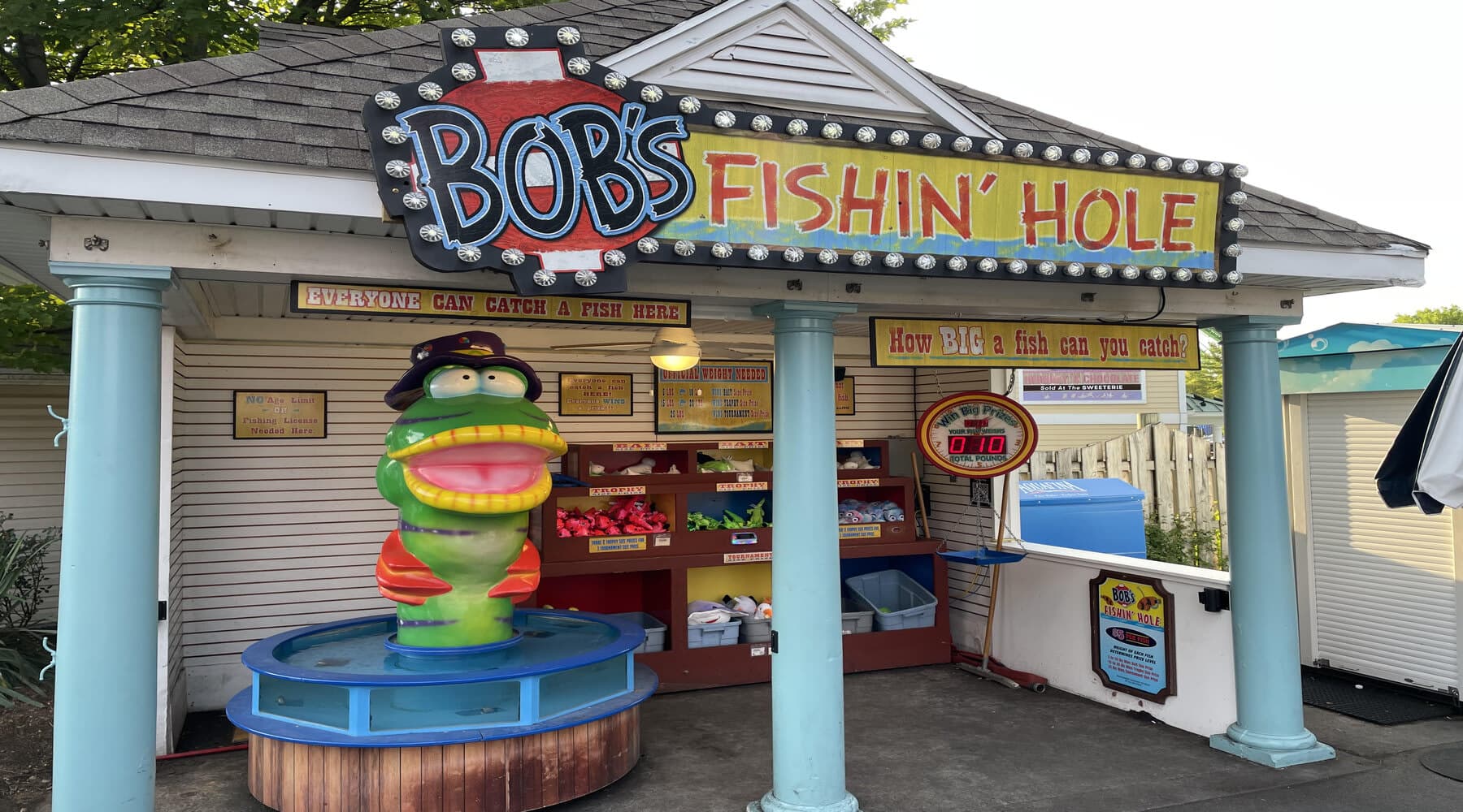 Catch a fish from the tank using a fish net