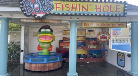 Catch a fish from the tank using a fish net