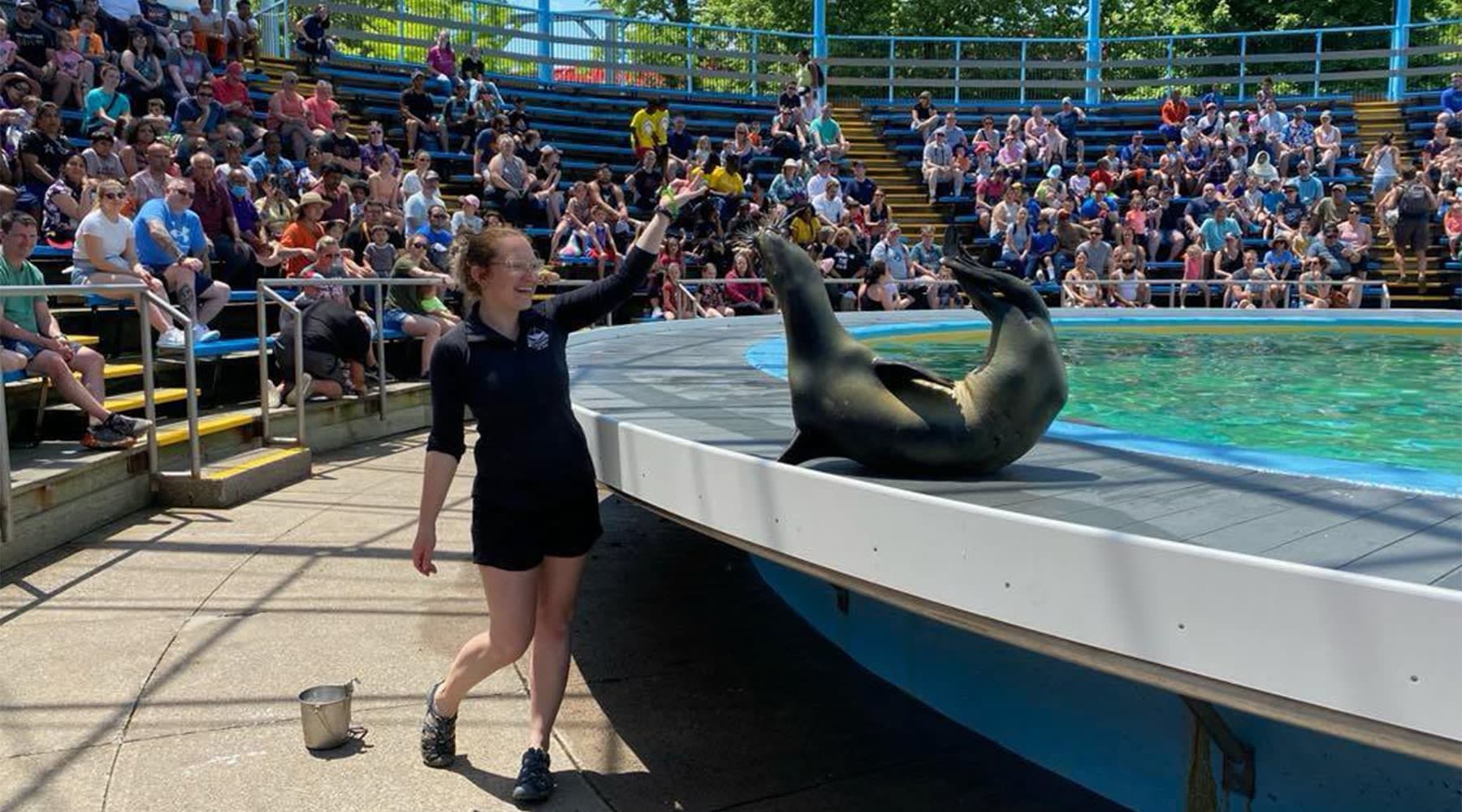 Employee feeding seal