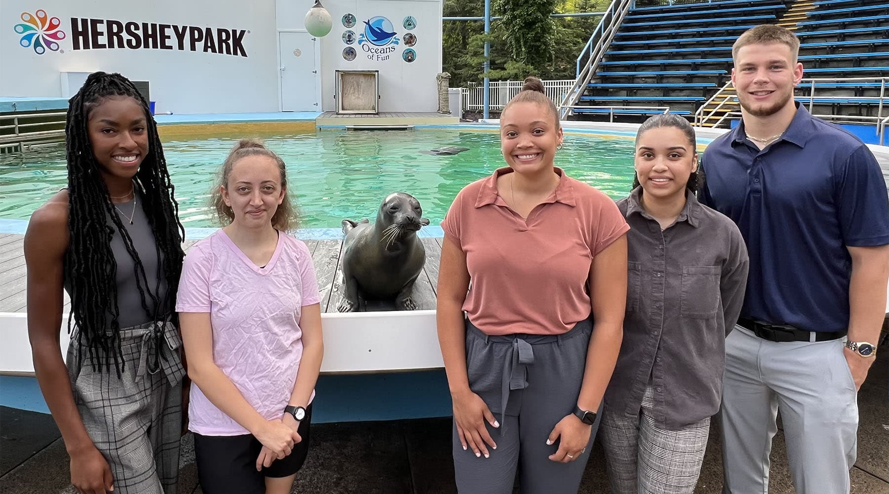 Seal From Flippered Friends And Family Experience with guests