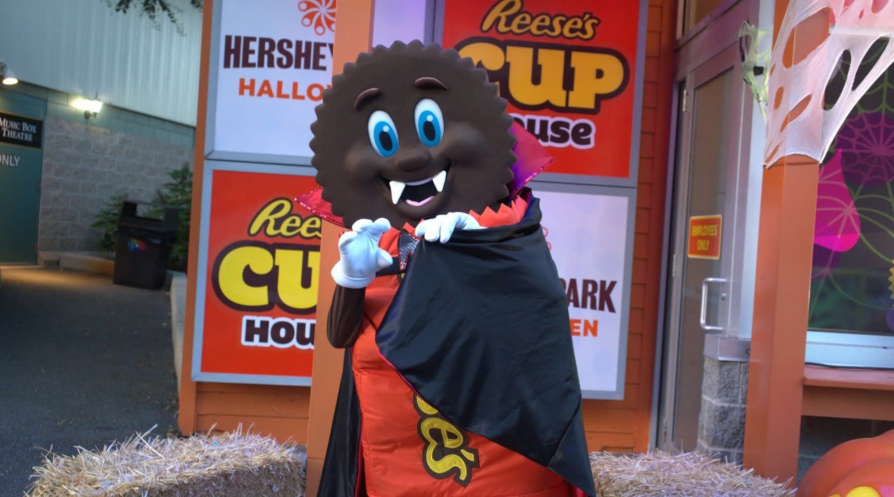 Reese Character in Halloween costume
