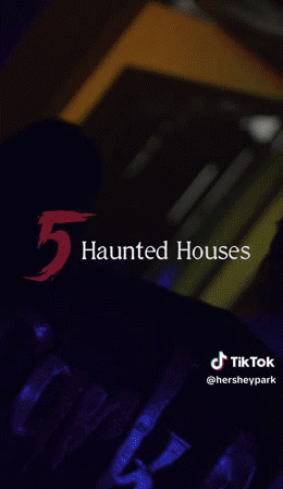 dark-nights-2026-teaser.gif