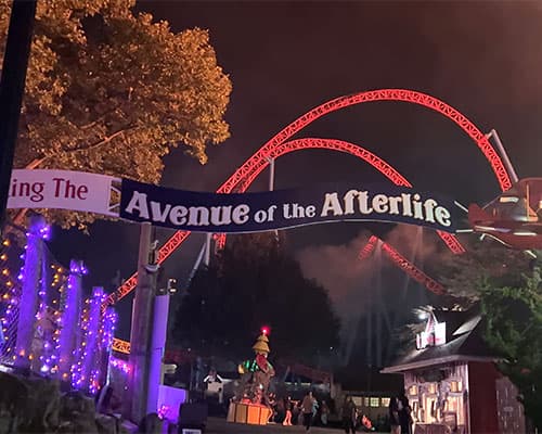 avenue of the afterlife at night v001