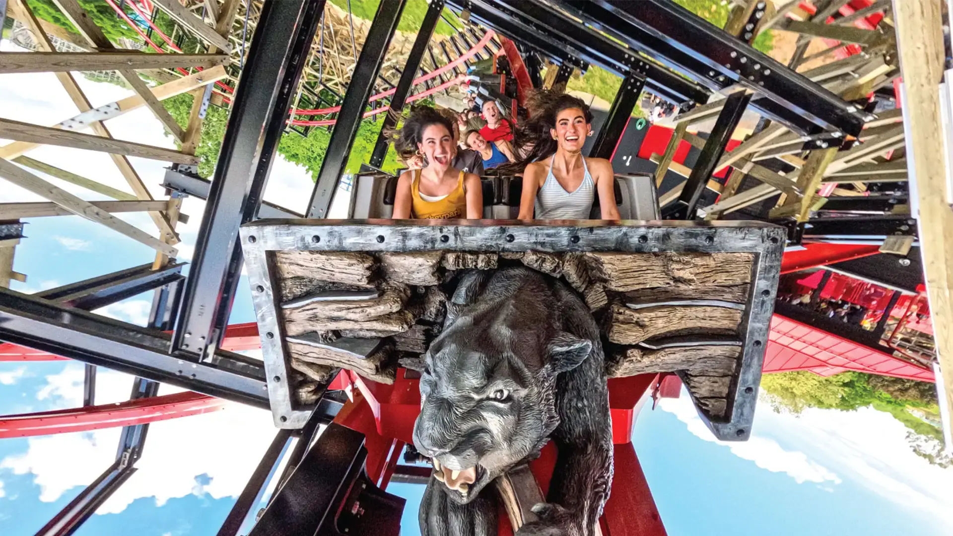 teens on wildcats revenge