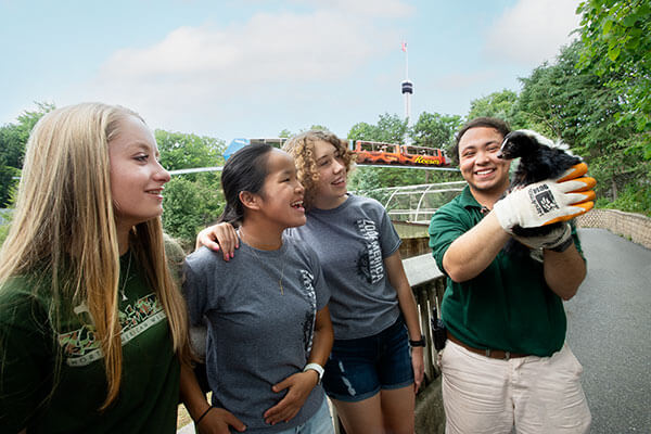 Students observing a skunk